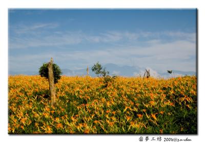 DSC_0542.jpg