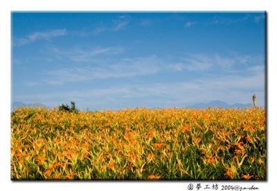DSC_0543.jpg