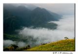 DSC_0511.jpg