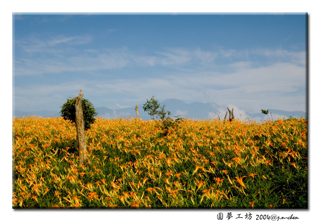 DSC_0542.jpg