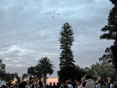 Formation of Tiger Moths