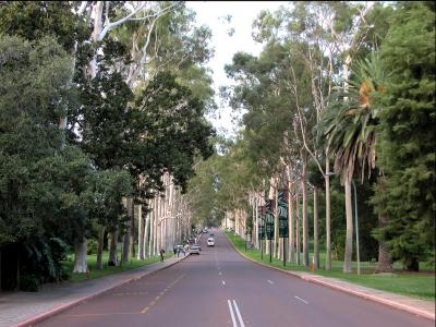 Fraser Avenue, Kings Park