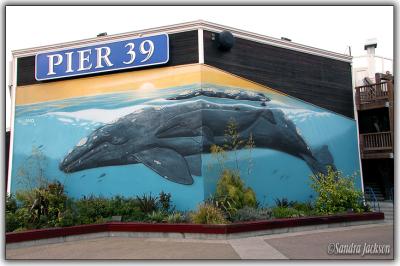 Robert Wyland Whaling Wall at Pier 39