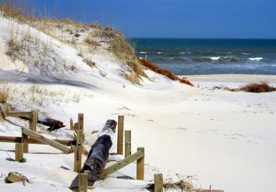 Exploring Sandbridge, Virginia