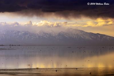 Great Salt Lake Dawn.jpg