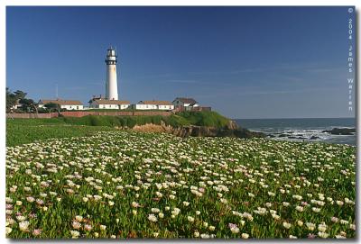 Pigeon Point Lighthouse