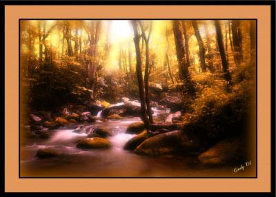 Tennessee Stream Aglow