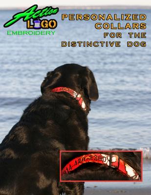 collar1.jpg