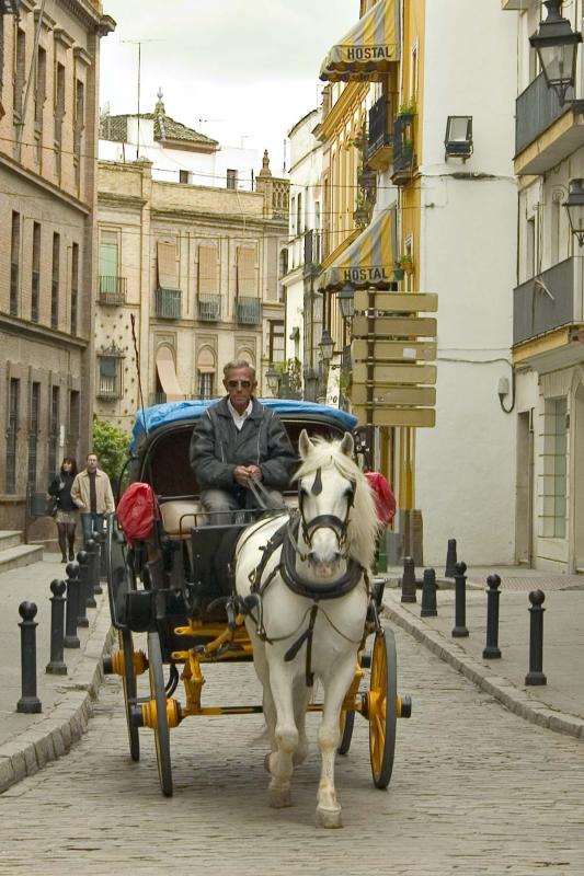 Horse carraige