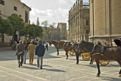 Horse carriages in front of cathedral