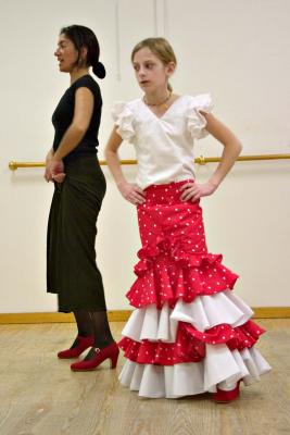 u43/sparkytom/medium/28279125.flamencoFlamencolesson783.jpg