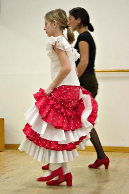 u43/sparkytom/medium/28279126.flamencoFlamencolesson786.jpg