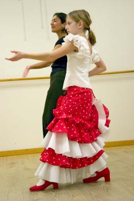 Flamenco Lesson