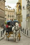 Horse carraige
