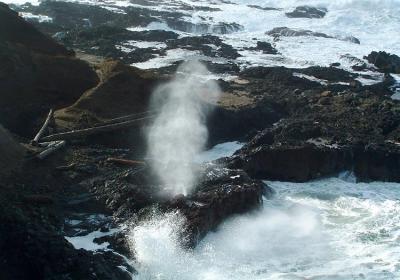 Cape Perpetua