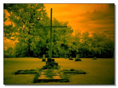  The Old Rugged CrossCheryl Meisel