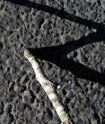 The Mysterious Mark of Zorroby What's His Name