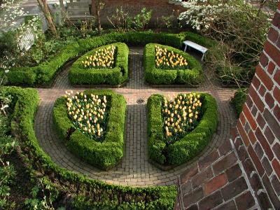 e-gardenAutumnsky