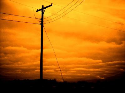  The Power LineCheryl Meisel