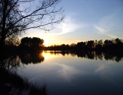 reflections by Pete W