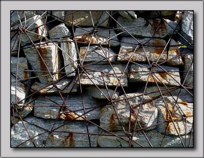 Steel Web