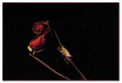 7thI love you!I know...*by Stphane Bouchard