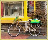 ooooh! what a bicycle* by Troy Gorodess
