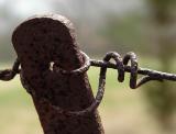 8TH PLACE.....m straddling the fence<br>by joandaniel