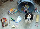 BAD  dog   <b>!</b><br>by sprayboy<br>AKA johnebones