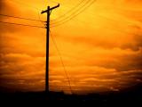 <B><br> The Power Line</B><BR><FONT size =2>Cheryl Meisel</FONT>