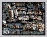 Steel Web