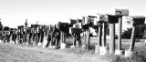 All In A Row<br>by Marcus