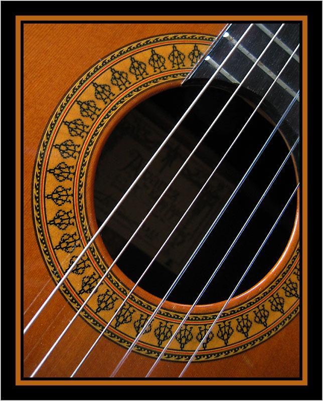 C-lassical G-uitar<BR> Ann Chaikin