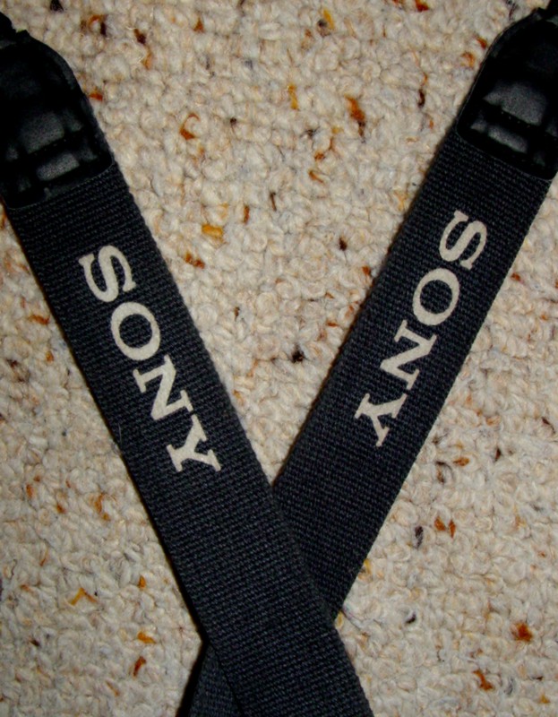 <b>The Sony<font size=3> V </font>*</b><br><font size=1> by Anonymous</font>