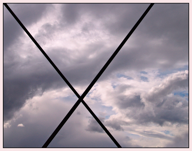 No Barrier * <br> by mlynn
