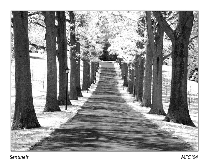 Sentinels<br><font size=1>(A C67 Example Photo)</font>