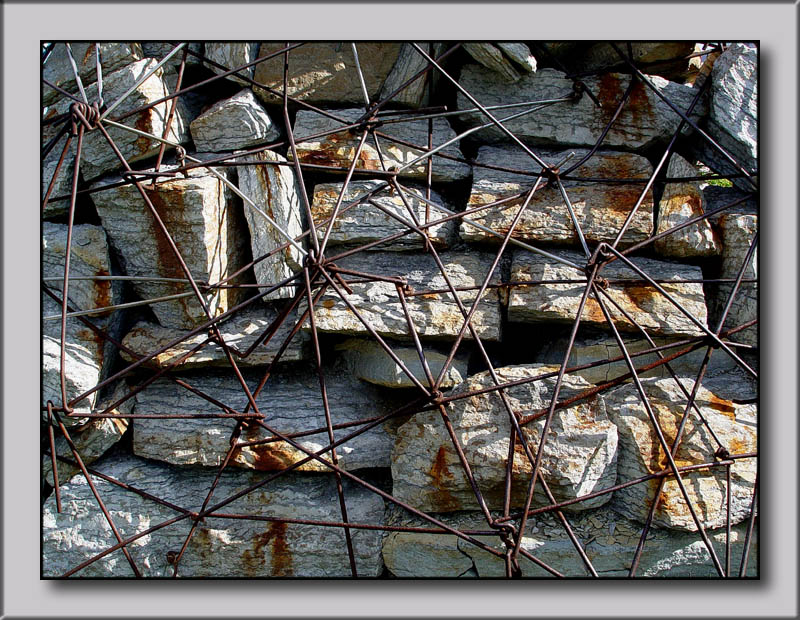 Steel Web