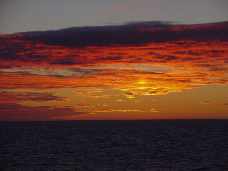 Fire in the Sky by Michael Dougan