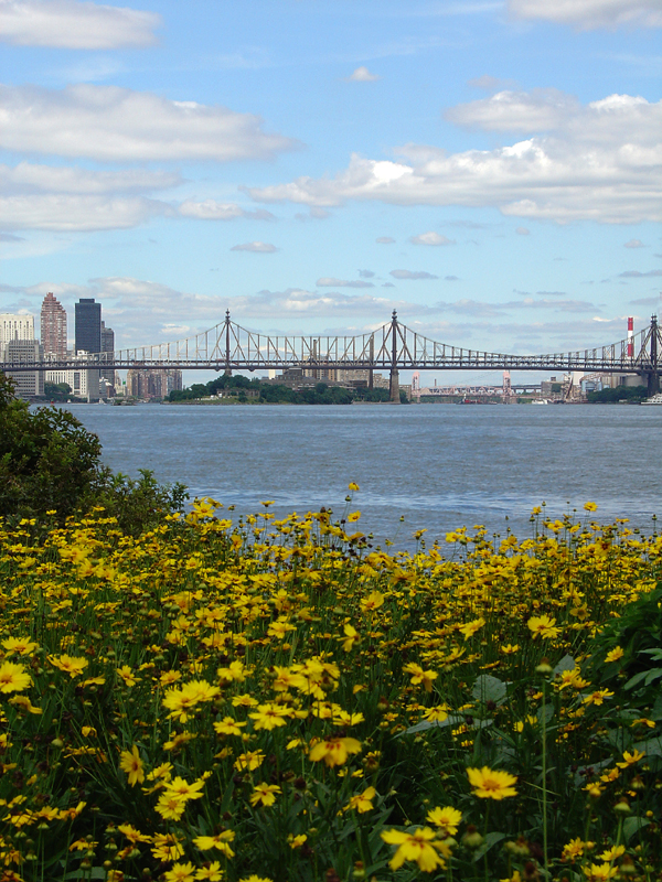 East Riverscape<br>by Keith T.