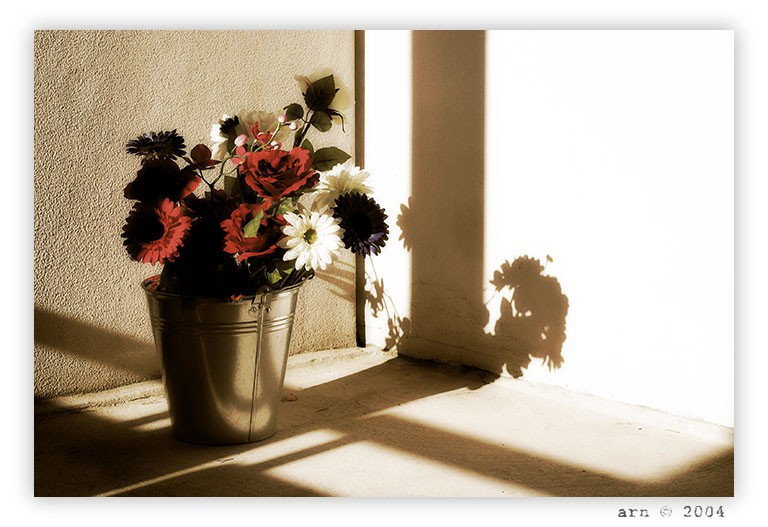 a bucketful of flowers