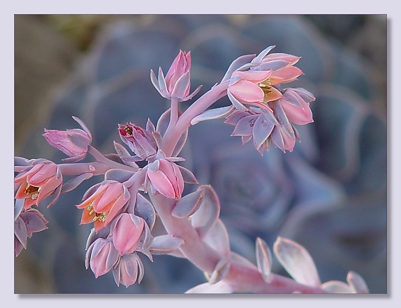 <b>2nd<br>morning mist</b><br><font size=1>by Bev Brink</font>