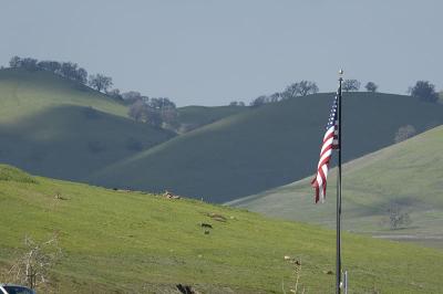 DSC_7018.JPG
