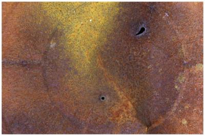 rust
