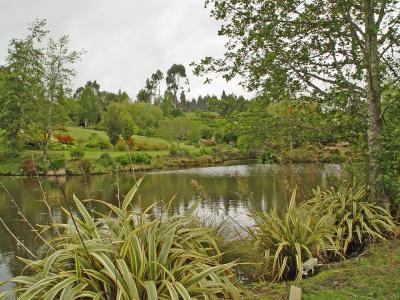 Maple Glen, Wyndham