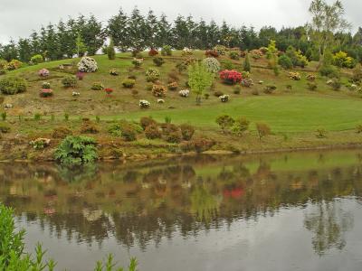 Maple Glen, Wyndham