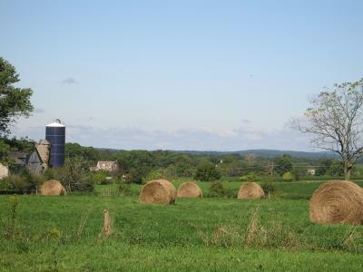 My back yard - round hay bales