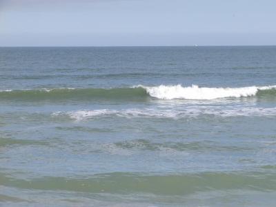 P1010004 2.JPG