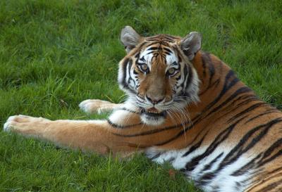 u43/sylvyn/medium/33526496.DSC_0686.jpg