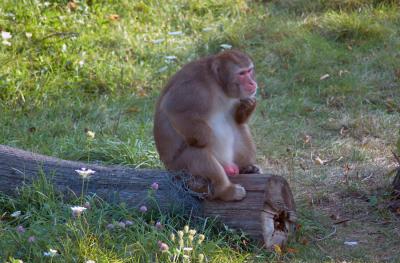 u43/sylvyn/medium/33559839.DSC_0707.jpg