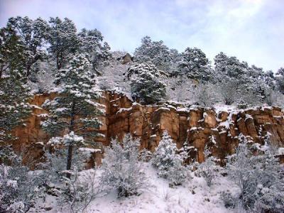 Arizona in winter